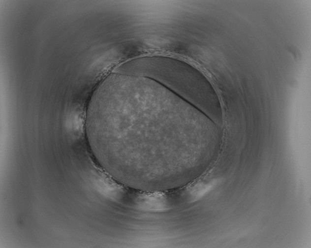 X0000110710576200906121357