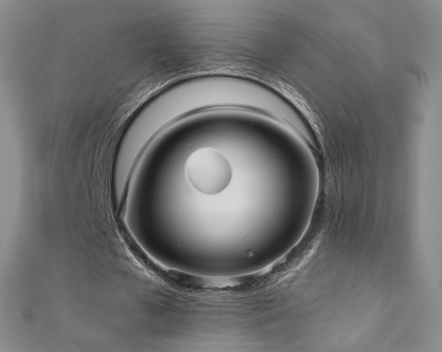 X0000110710577200906121356