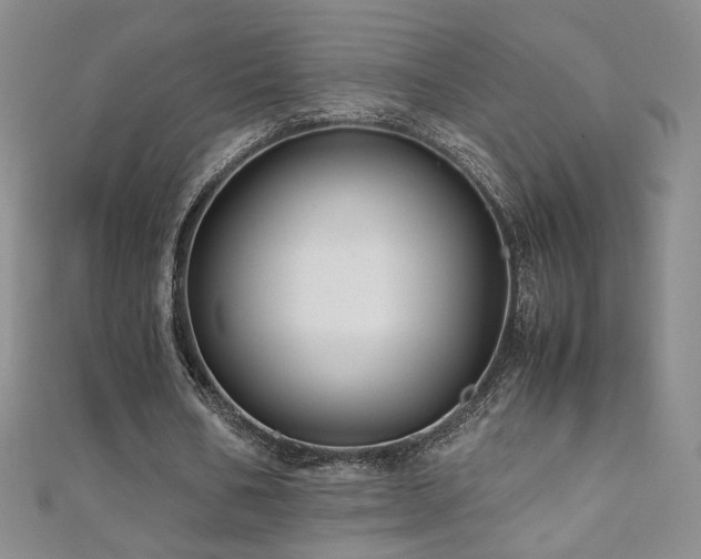 X0000110710578200906121356