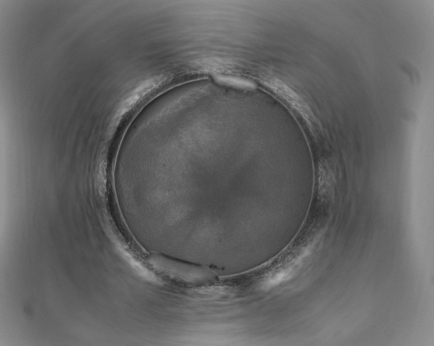 X0000110710581200906121356