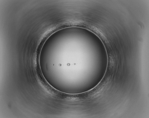 X0000110710582200906121356