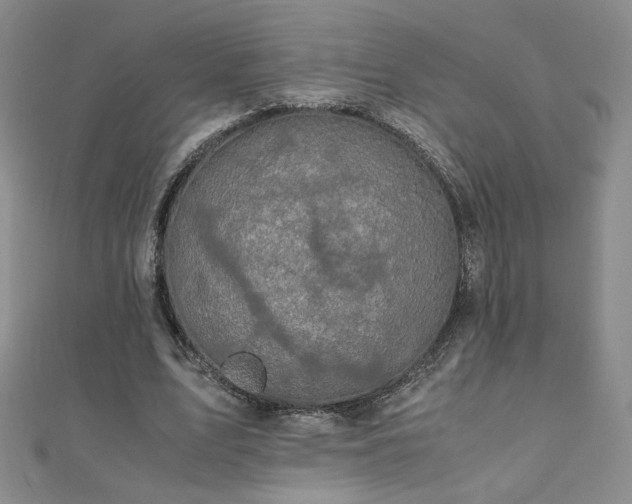 X0000110710583200906121356