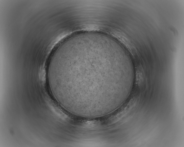 X0000110710584200906121356