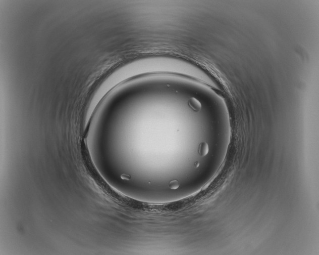 X0000110710585200906121356