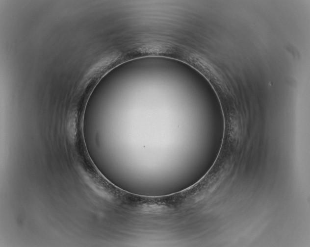 X0000110710586200906121356