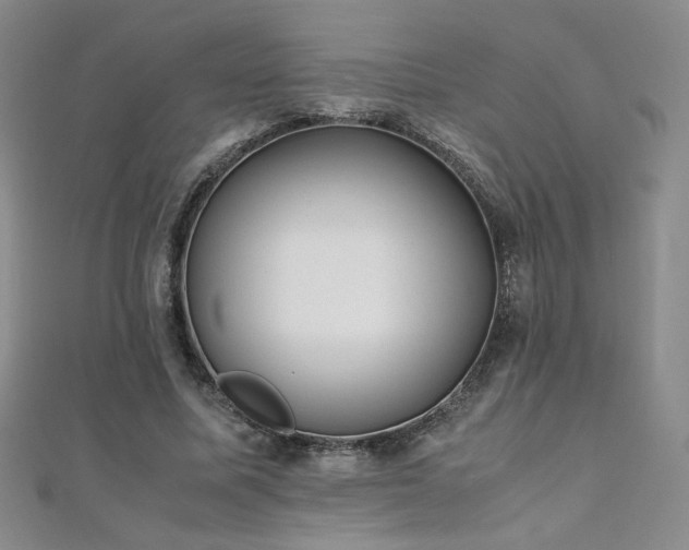 X0000110710587200906121356