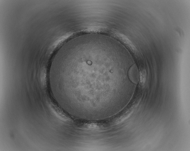 X0000110710588200906121356