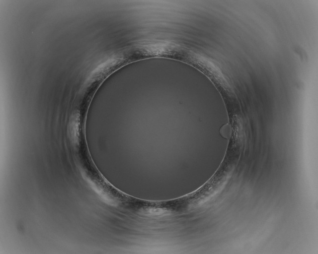 X0000110710590200906121356