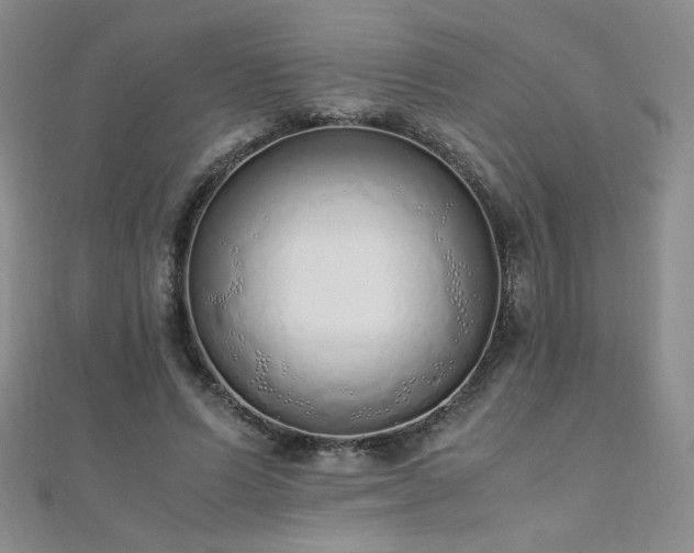 X0000110710591200906121356
