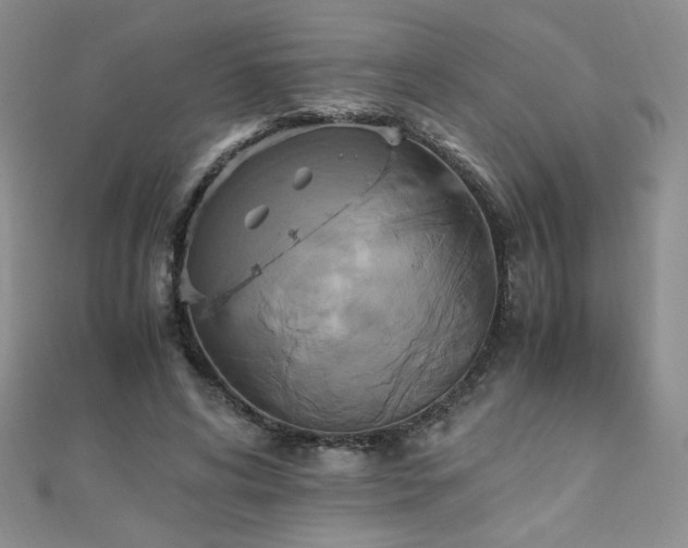 X0000110710592200906121356