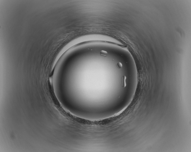 X0000110710593200906121356