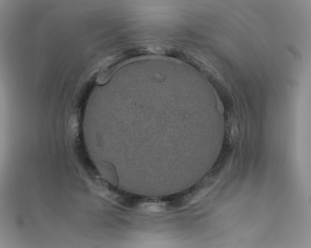 X0000110710595200906121356