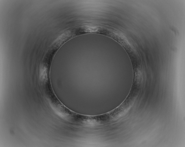 X0000110710598200906121356