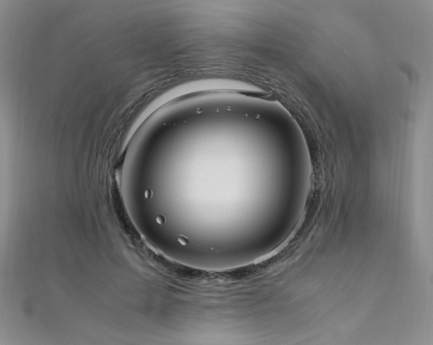 X0000110710599200906121356