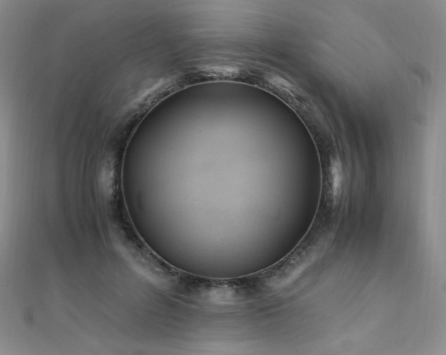 X0000110710600200906121356