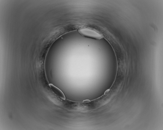 X0000110710601200906121356