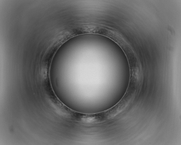 X0000110710602200906121356