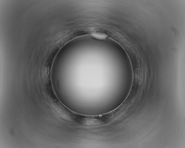 X0000110710605200906121356