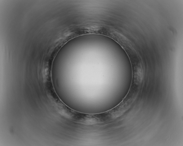X0000110710608200906121356
