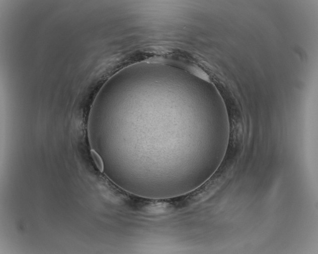 X0000110710609200906121356
