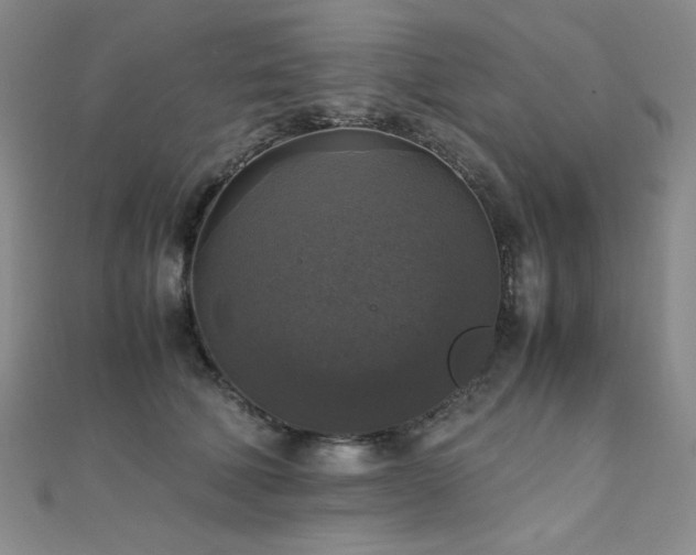 X0000110710610200906121356
