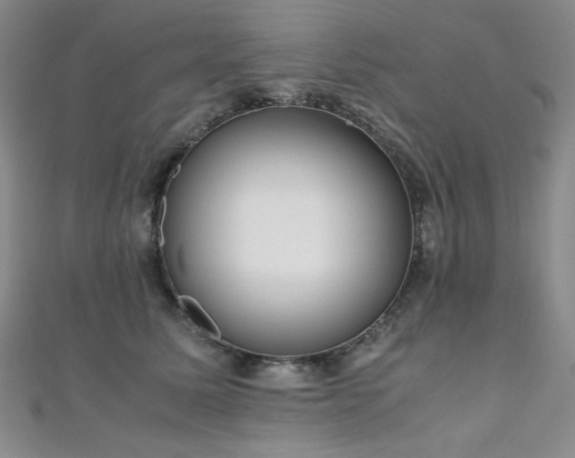 X0000110710611200906121356