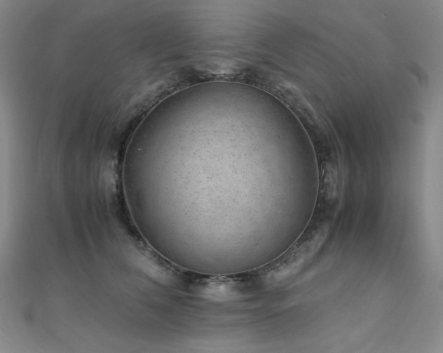 X0000110710612200906121356