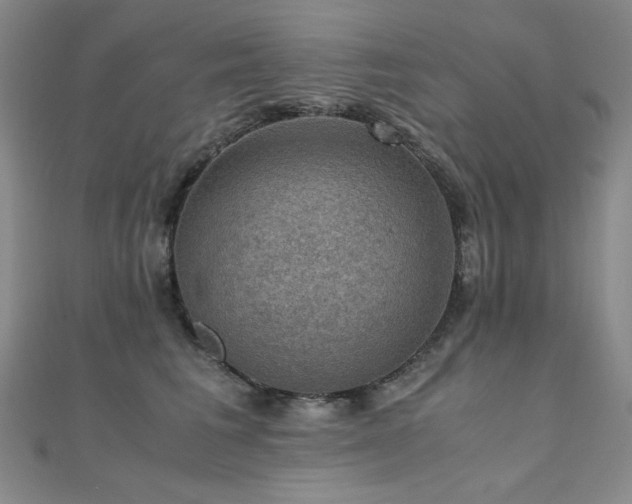 X0000110710613200906121356