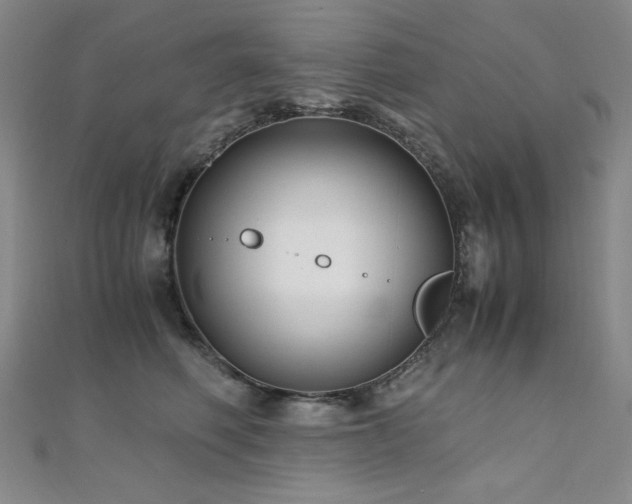 X0000110710614200906121356