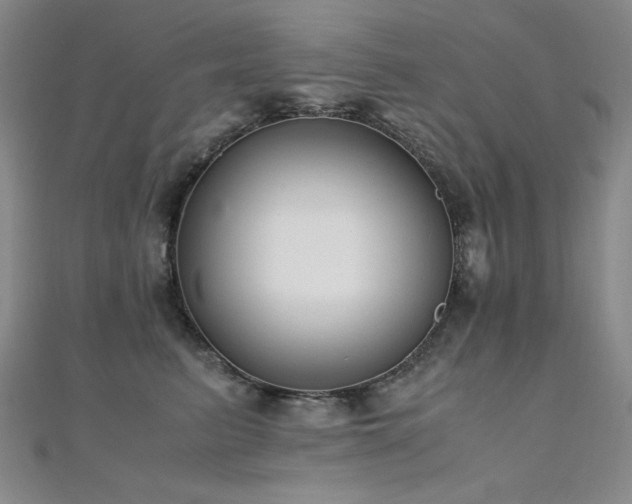 X0000110710615200906121356