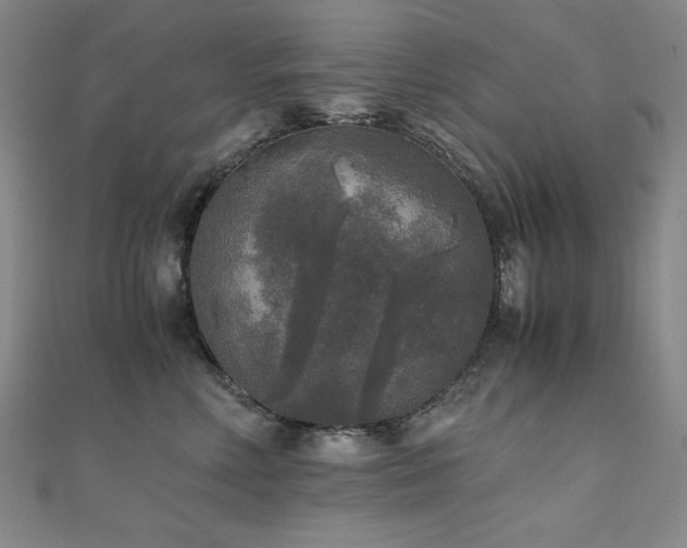 X0000110710618200906121356