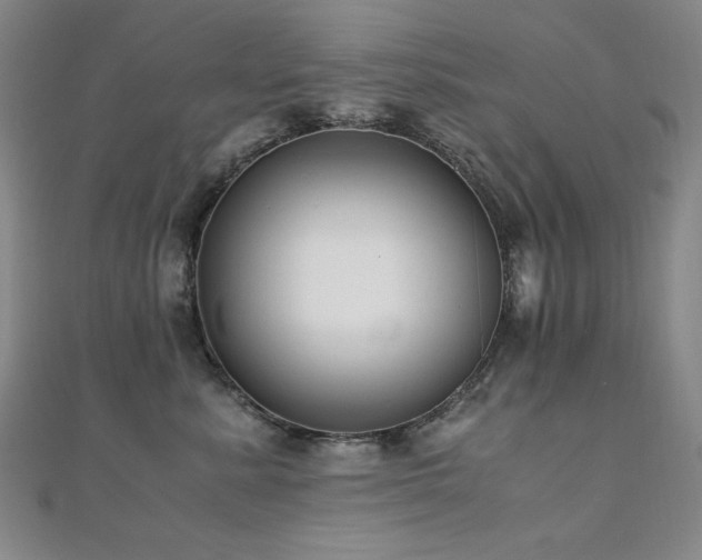 X0000110710619200906121356