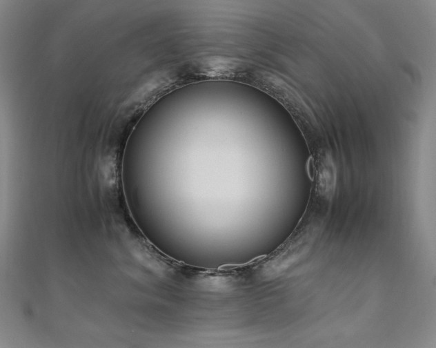 X0000110710620200906121356