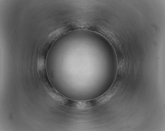 X0000110710623200906121356