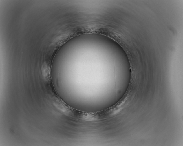 X0000110710624200906121356