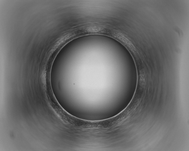 X0000110710626200906121355