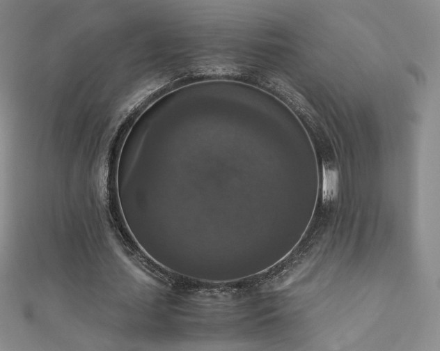 X0000110710627200906121355