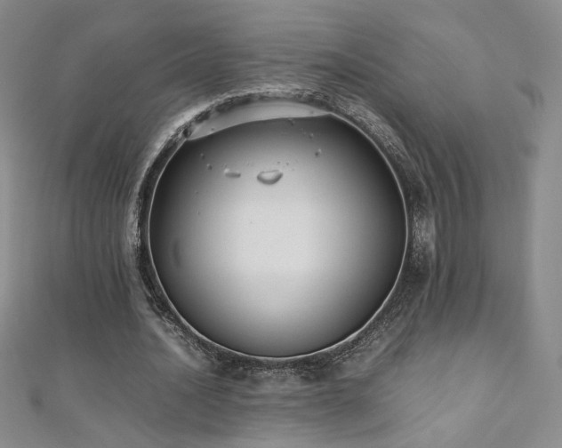 X0000110710628200906121355