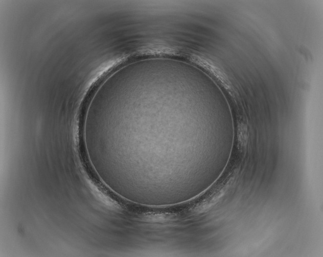 X0000110710629200906121355