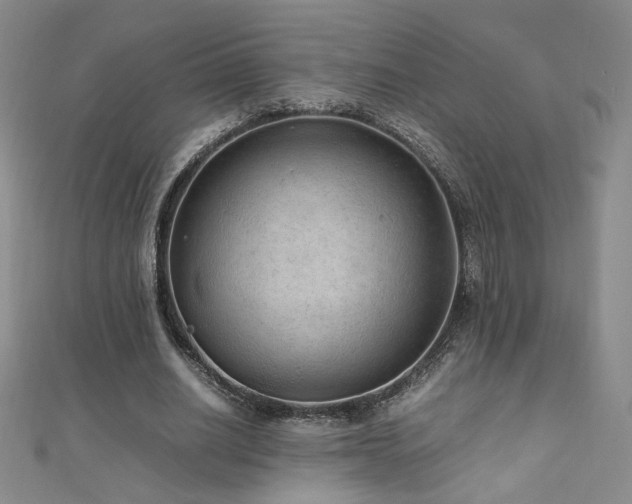 X0000110710630200906121355
