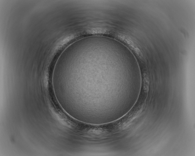 X0000110710631200906121355