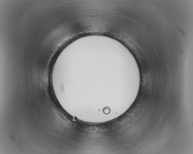 X0000110710632200906121355