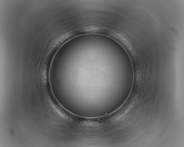 X0000110710633200906121355
