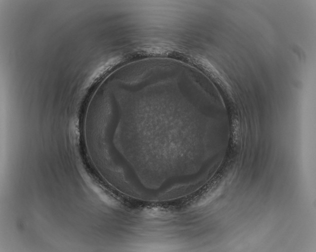 X0000110710634200906121355
