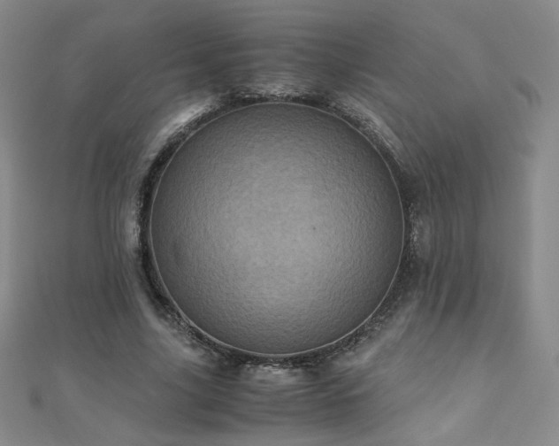 X0000110710635200906121355