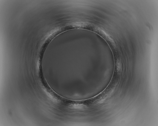 X0000110710637200906121355