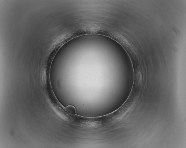 X0000110710638200906121355