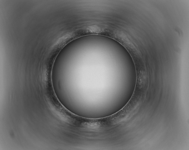X0000110710639200906121355