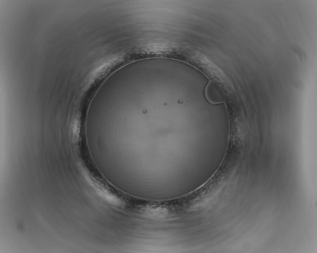 X0000110710640200906121355