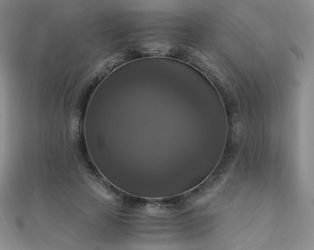 X0000110710641200906121355
